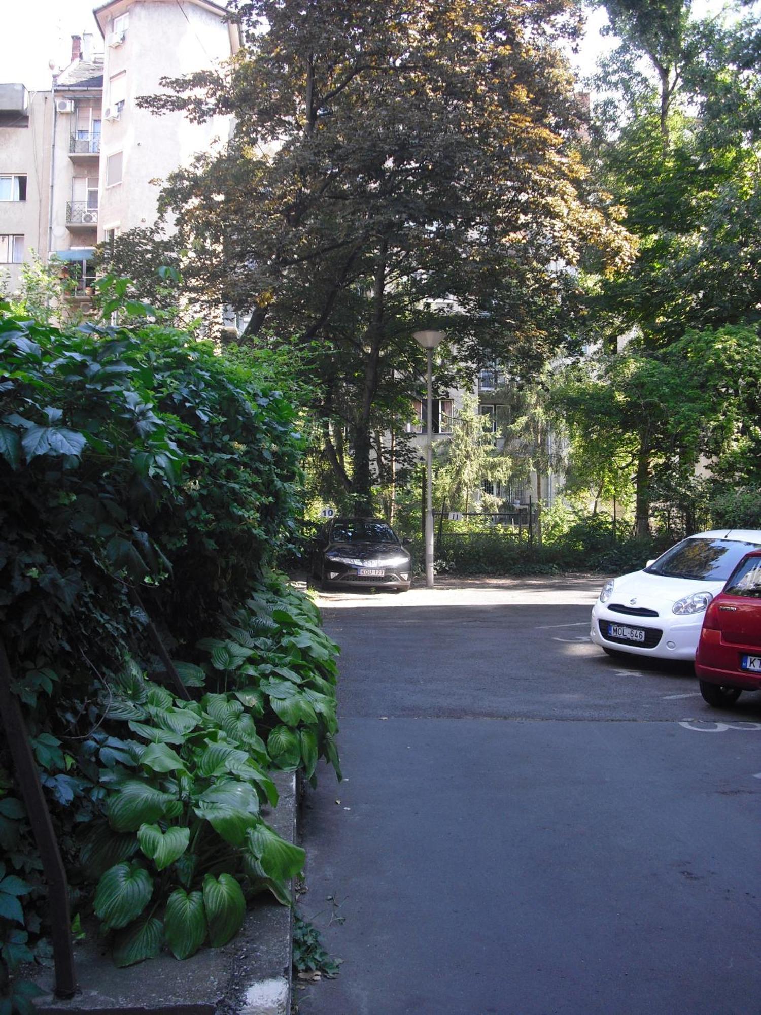 Young Center Budapeşte Dış mekan fotoğraf